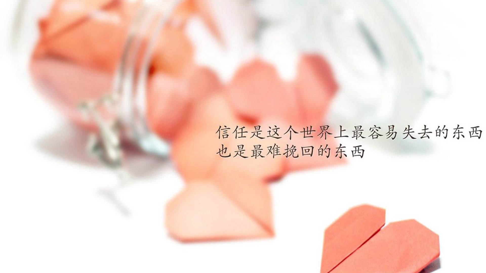 “绿色梦想”青少年篮球环保行动在青海持续推广,绿色运动新风尚