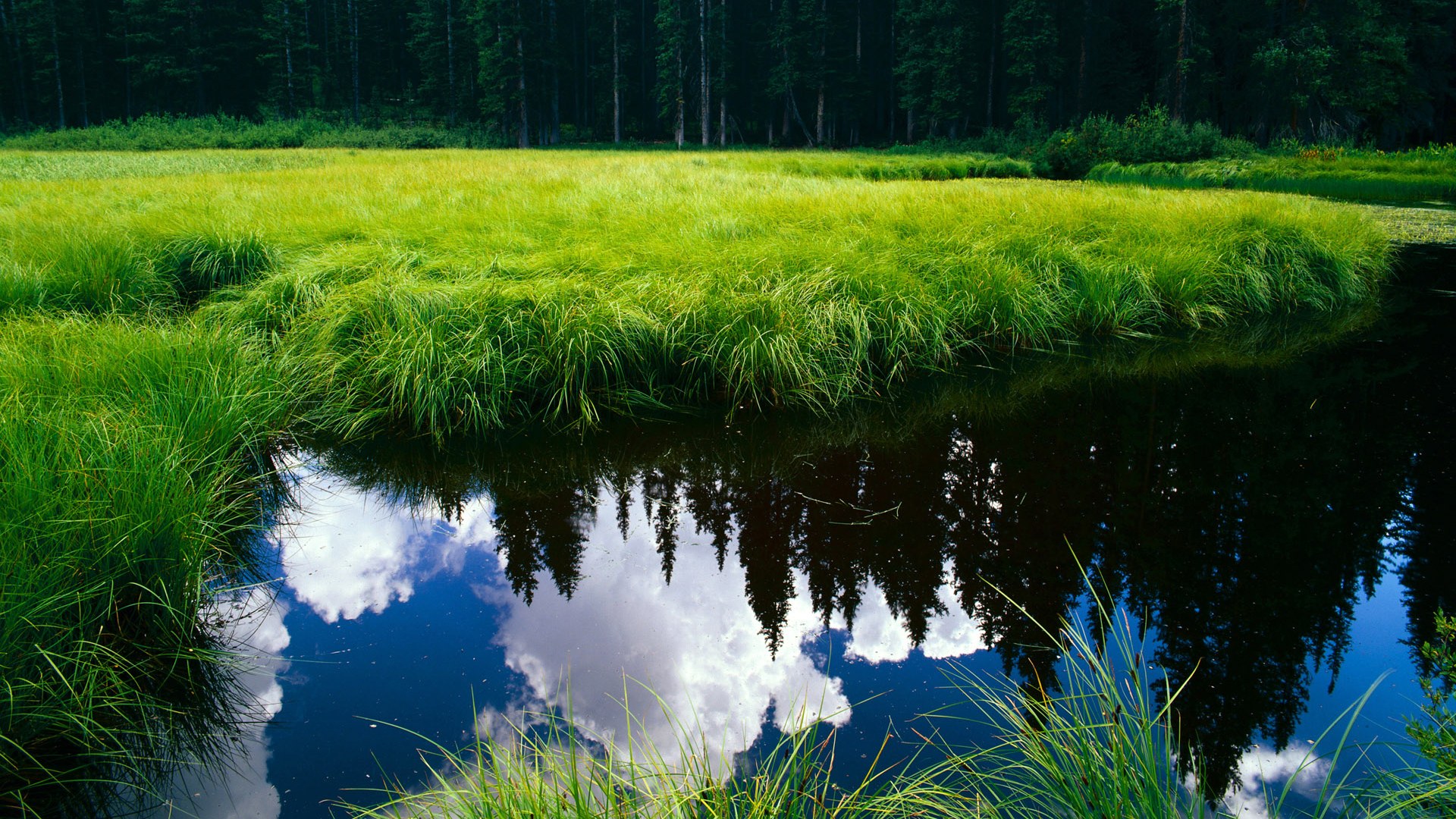 开云体育-扎卡里·里萨谢在NBA常规赛中砍下38分，扎卡里亚斯