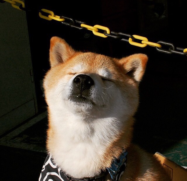 意甲:高价引援,争夺未来潜力股,意甲引入中国